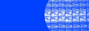 contact-blue-sneaks
