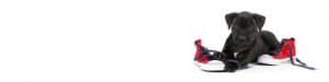 header-our-team-mobile