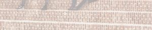 header-blog-soleprints2