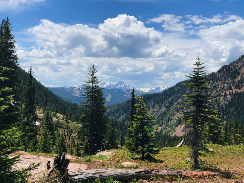 Booth,Falls,Trail,,Vail,,Co